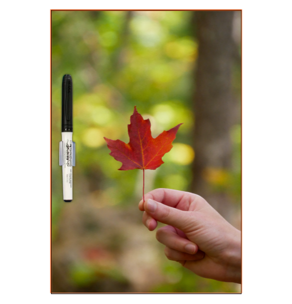 微信图片_20231013150303