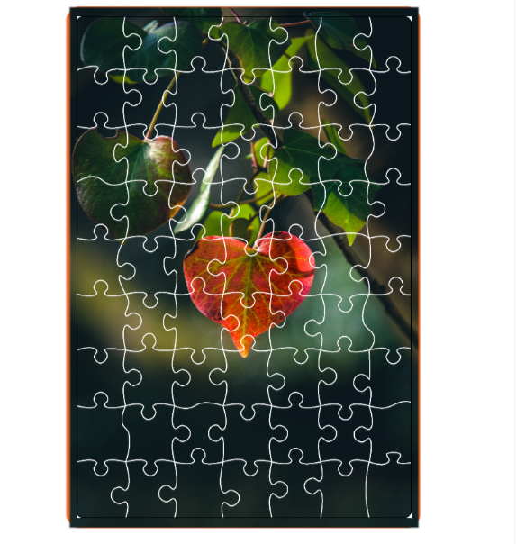 微信图片_20231013152301