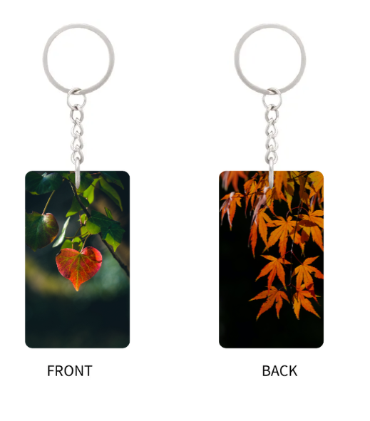 微信图片_20231013185852